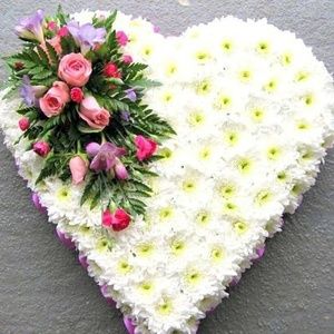 Meet your Posher, Ofelia